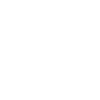 SVG Icon