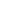 SVG Icon