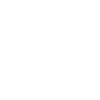 SVG Icon