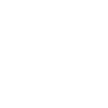 SVG Icon