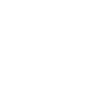 SVG Icon
