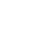 SVG Icon